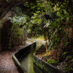 From Funchal/Caniço: Rabaçal Hike (25 Fontes) Bus Transfer - Authentic Feedback from Travelers