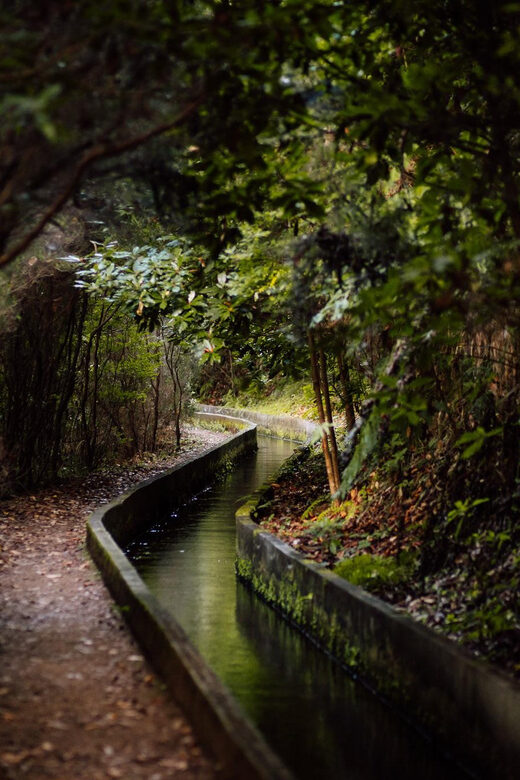 From Funchal/Caniço: Rabaçal Hike (25 Fontes) Bus Transfer - Authentic Feedback from Travelers