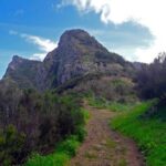 From Funchal: Machico to Porto da Cruz Larano Cliff Hike - Who Will Love This Tour?