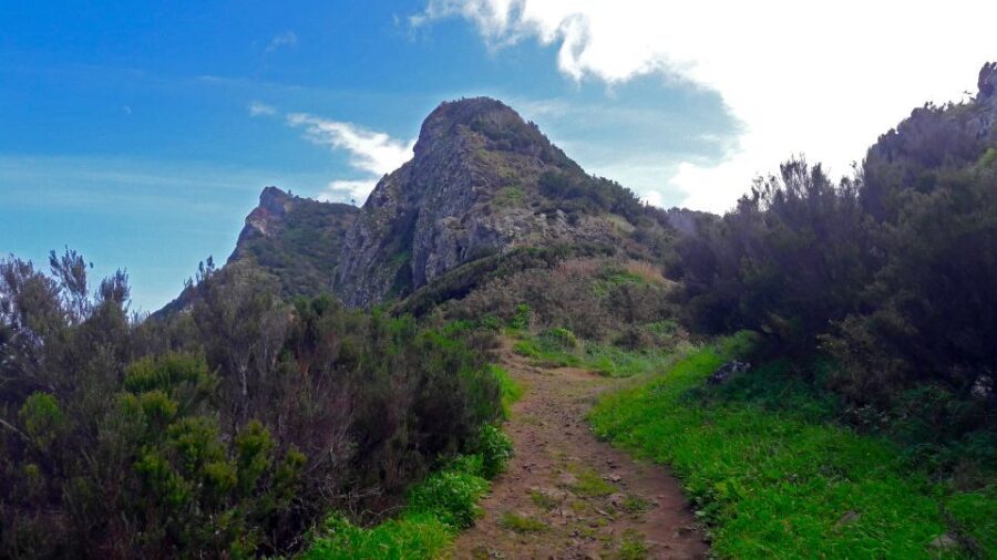 From Funchal: Machico to Porto da Cruz Larano Cliff Hike - Who Will Love This Tour?
