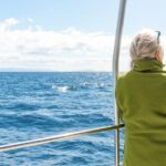 From Funchal: Madeira Dolphin and Whale Watching Tour - Final Thoughts: Who Will Love This Tour?