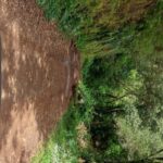 From Funchal: Pico Do Arieiro and Santana Full-Day 4x4 Tour - What Makes This Tour Stand Out?