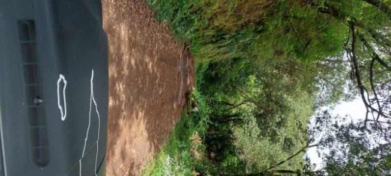 From Funchal: Pico Do Arieiro and Santana Full-Day 4x4 Tour - What Makes This Tour Stand Out?