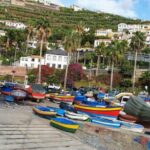 From Funchal: Tuk Tuk Tour to Camara de Lobos and Cabo Girao - The Practical Aspects