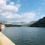 From Gaia Douro Valley Tour Wine Tasting River Cruise Lunch - Why This Tour Offers Great Value