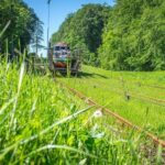 From Gdansk: Elblag Canal Boat Cruise - Exploring the Elblag Canal: What to Expect