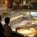 From Geneva: Gruyères Cheese & Chocolate Full-Day Trip - Who Will Enjoy This Tour?