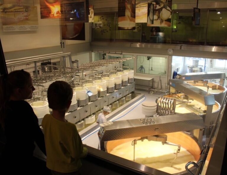 From Geneva: Gruyères Cheese & Chocolate Full-Day Trip - Who Will Enjoy This Tour?