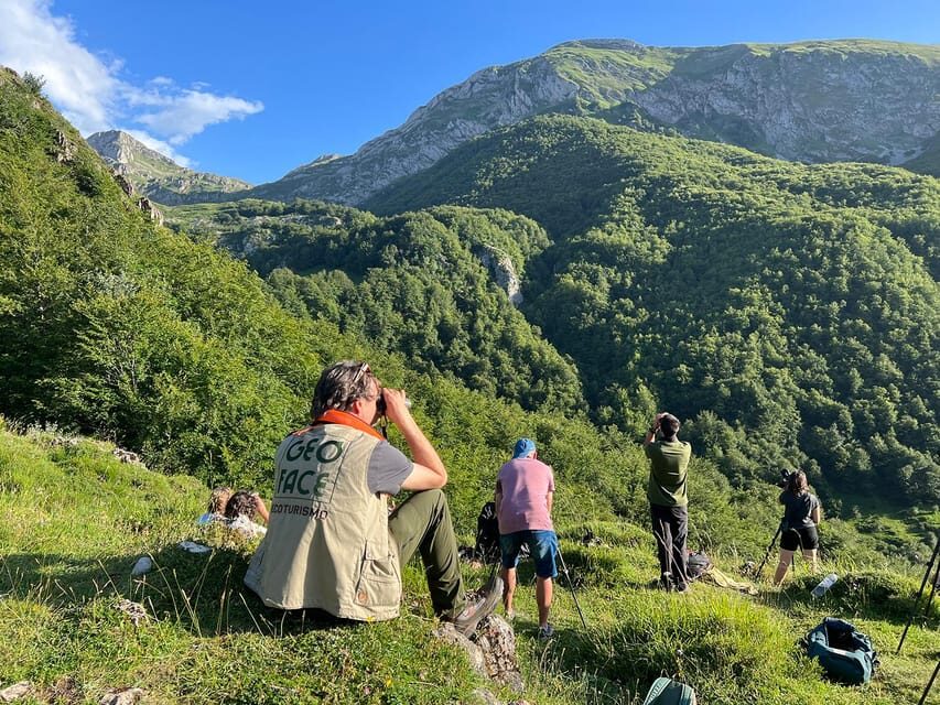 From Gijón, Oviedo or Pola de Somiedo: Brown Bear Spotting - The Authentic Experience: What Reviewers Have Said