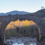 From Girona: Besalú, Banyoles & Historical Garrotxa Day Trip - What Makes This Tour Stand Out?