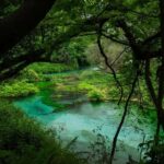 From Gjirokastra: Discover the Blue Eye Wonder - A Detailed Look at the Experience