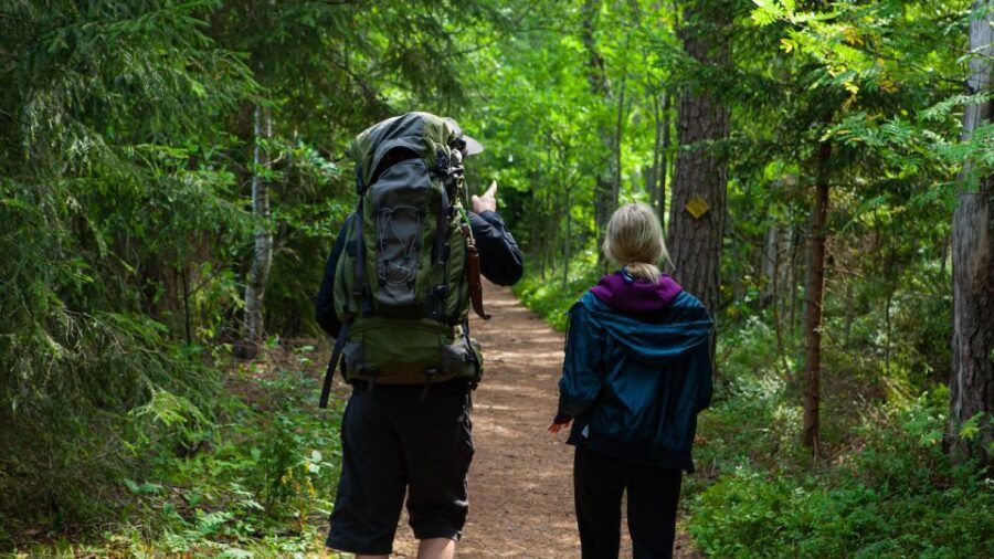 From Helsinki: Berry Picking Day Trip in a National Park - What Makes This Tour Stand Out?
