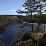 From Helsinki: Nuuksio National Park Half-Day Trip - Final Thoughts: A Worthwhile Nature Break