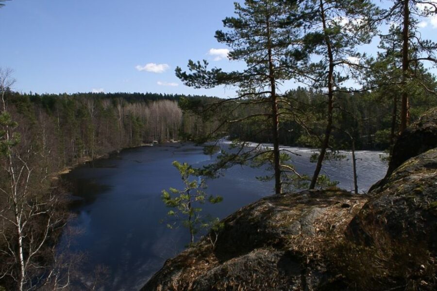 From Helsinki: Nuuksio National Park Half-Day Trip - Final Thoughts: A Worthwhile Nature Break