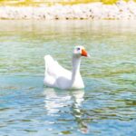 From Heraklion: Chania, Lake Kournas & Rethymno Guided Trip - What’s Included and What’s Not