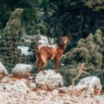 From Heraklion: Imbros Gorge Private Tour - Why This Tour Works Well