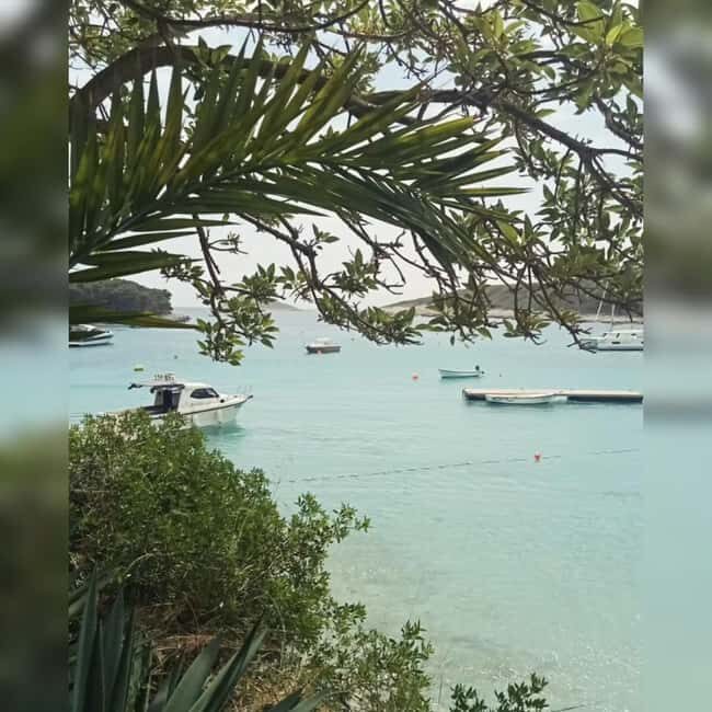 From Hvar: Pakleni Islands Private Boat Tour - Pricing and Value