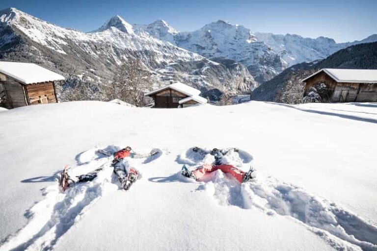From Interlaken: Guided Snowshoe Tour - Why This Tour Offers Great Value