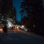 From Interlaken: Night Sledding - Why This Tour Works for Travelers