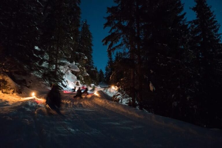From Interlaken: Night Sledding - Why This Tour Works for Travelers