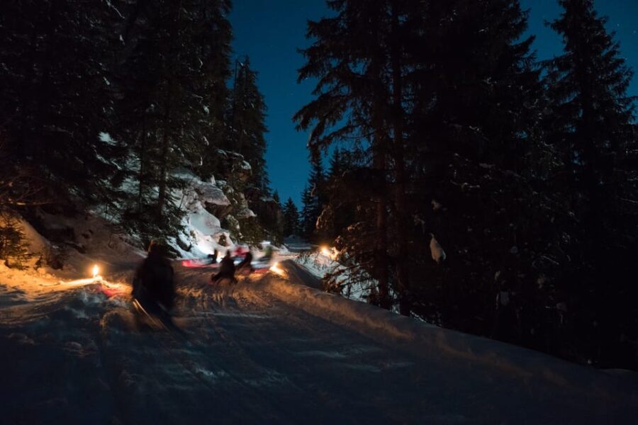 From Interlaken: Night Sledding - Why This Tour Works for Travelers