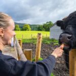 From Inverness: Cawdor Castle, Clava Cairns & The Cairngorms - Exploring Cawdor Castle: A Medieval Gem