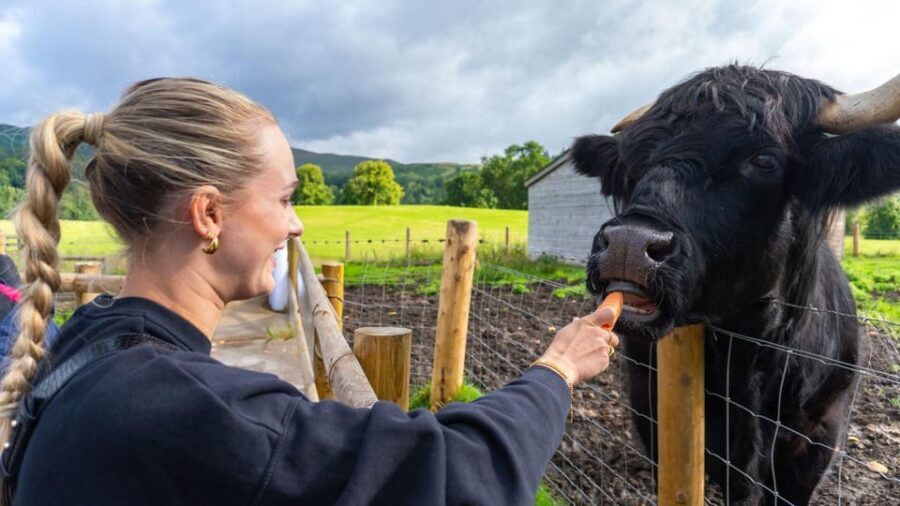 From Inverness: Cawdor Castle, Clava Cairns & The Cairngorms - Exploring Cawdor Castle: A Medieval Gem