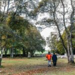 From Inverness: Glen Affric, Culloden, and Clava Cairns Tour - The Experience: What You Can Expect