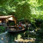 From Istanbul: Guided Day Trip to Sapanca and Masukiye - The Experience of Guides and Personal Touches