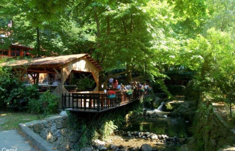 From Istanbul: Guided Day Trip to Sapanca and Masukiye - The Experience of Guides and Personal Touches