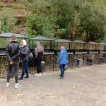 From Izmir çeme: Ephesus and House of Mary Private Tour - Who Will Love This Tour?