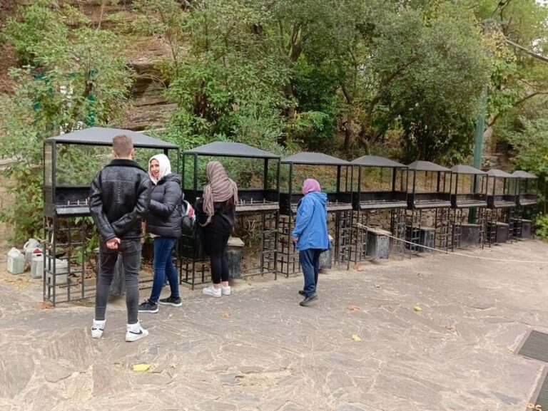 From Izmir çeme: Ephesus and House of Mary Private Tour - Who Will Love This Tour?