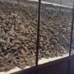 From Krakow: Auschwitz-Birkenau Camp Complex Guided Day Trip - Who Will Love This Tour?