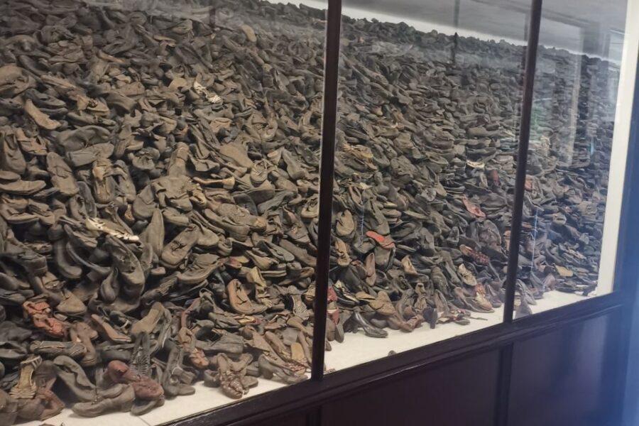 From Krakow: Auschwitz-Birkenau Camp Complex Guided Day Trip - Who Will Love This Tour?