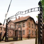 From Krakow: Auschwitz-Birkenau Guided Tour & Transportation - The Sum Up: Is This Tour Right for You?