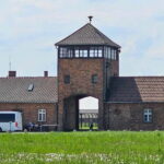 From Krakow: Auschwitz-Birkenau Guided Tour with Pickup - Why This Tour Offers Great Value