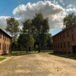 From Krakow: Auschwitz-Birkenau Memorial and Museum Tour - Who Should Consider This Tour?