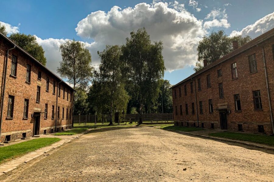 From Krakow: Auschwitz-Birkenau Memorial and Museum Tour - Who Should Consider This Tour?