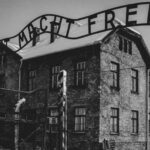 From Krakow: Auschwitz Birkenau Self-Guided Tour - Who Should Consider This Tour?