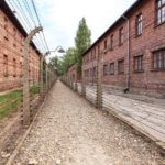 From Krakow: Auschwitz Birkenau Tour with Transfer - The Value of the Experience