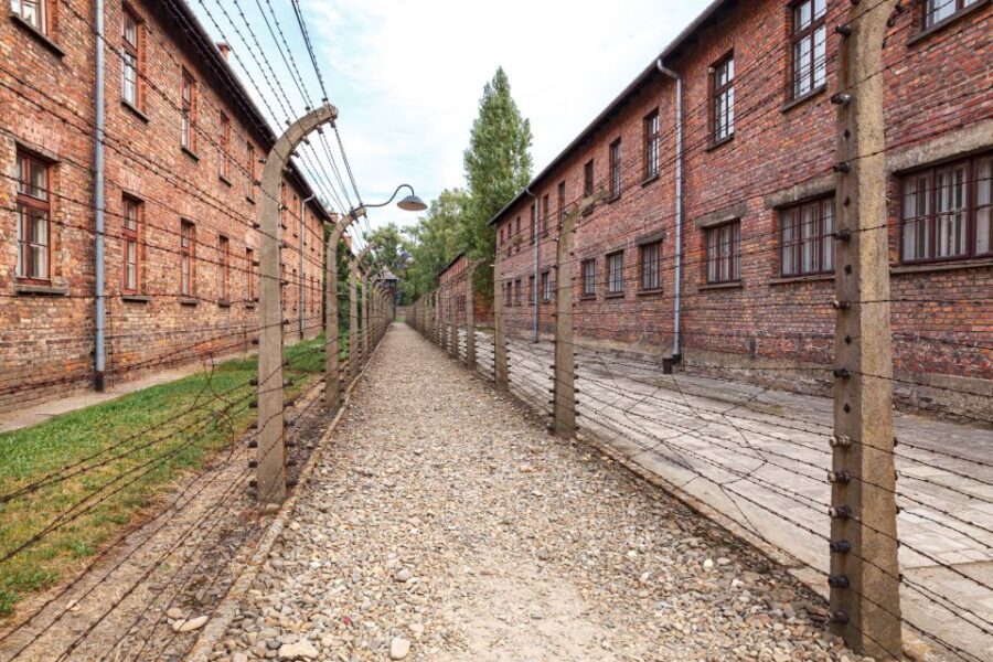 From Krakow: Auschwitz Birkenau Tour with Transfer - The Value of the Experience