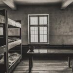 From Krakow: Private Transfer to Auschwitz-Birkenau - What to Expect from the Drivers and the Service