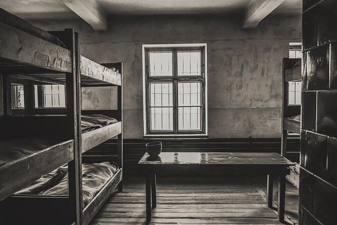 From Krakow: Private Transfer to Auschwitz-Birkenau - What to Expect from the Drivers and the Service