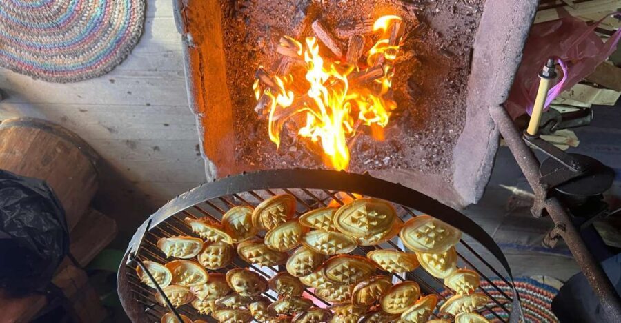 From Krakow: Private Trip Zakopane and Thermal Baths - The Details That Make This Tour Special