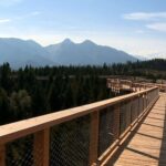 From Kraków: Slovakia Treetop Walk and Thermal Baths - Who is This Tour Best For?