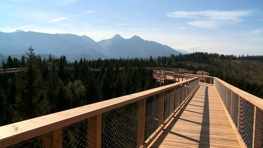 From Kraków: Slovakia Treetop Walk and Thermal Baths - Who is This Tour Best For?