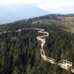 From Kraków: Slovakia Treetop Walk and Tour of Zakopane - Why This Tour Is Worth Considering
