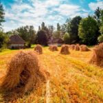 From Krakow: Tokarnia Ethnographic Park  Private Day Trip - Final Thoughts