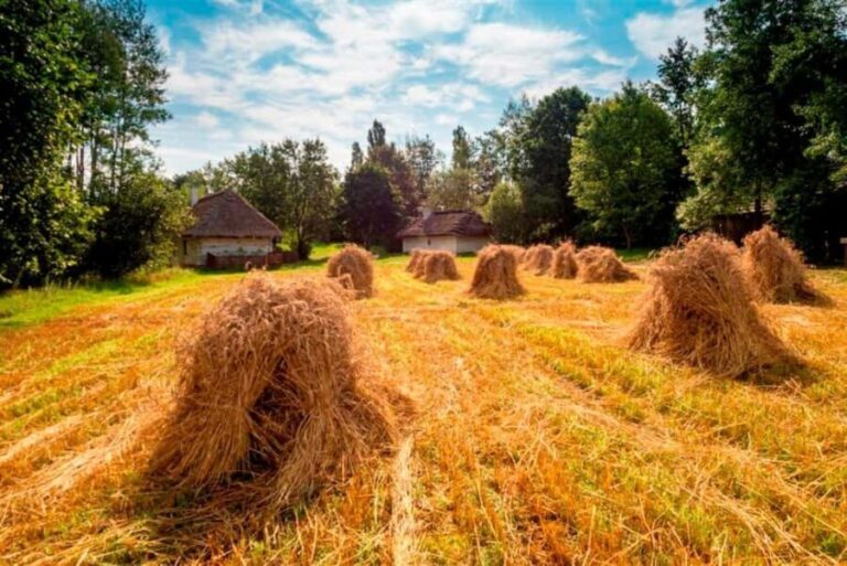 From Krakow: Tokarnia Ethnographic Park  Private Day Trip - Final Thoughts