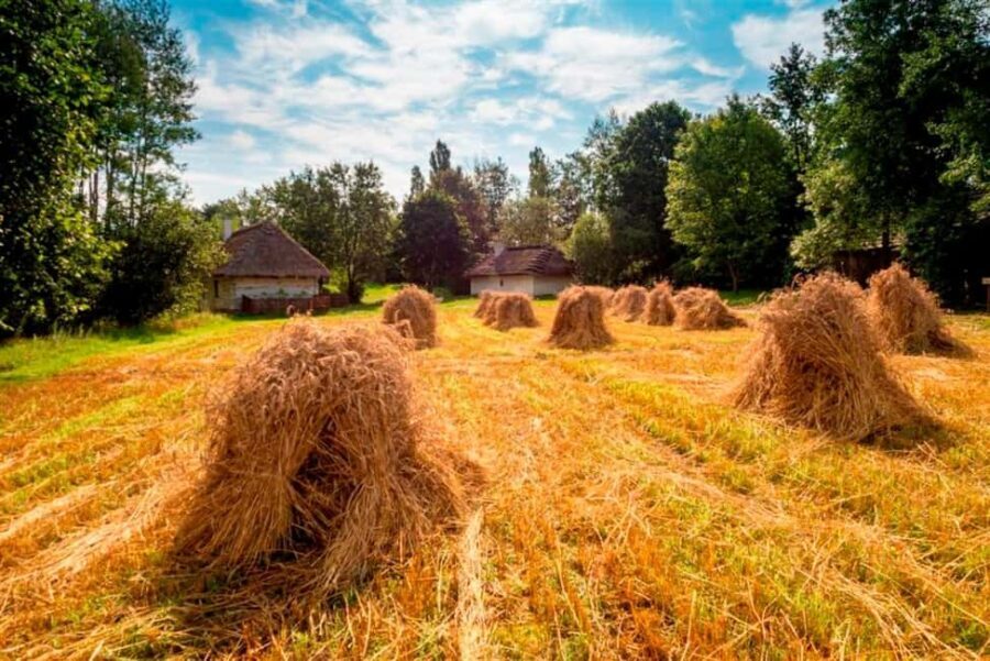 From Krakow: Tokarnia Ethnographic Park Private Day Trip - Final Thoughts